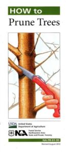 How-to-Prune-Trees