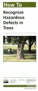 How-to-Recognize-Defects-in-Trees