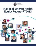 National Veteran Health Equity Report